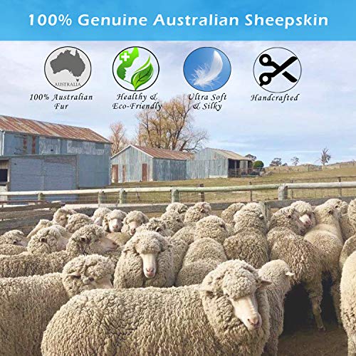 Champlus Genuine Australian Merino Sheepskin Rug, 2.3x3.3 ft Sheep Skin Fur Rug, Lambskin Area Rug, Single Pelt, White - size: 2'4" x 3'4" (Natural)