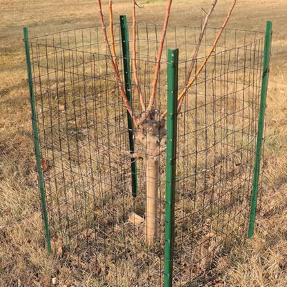 Black PVC Coated Welded Wire Fence 24" x 100' Roll, 2"x3" Mesh, 16 Gauge - color: Black, size: 2''x3'' 16GA 24''x100'