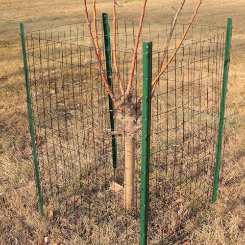 Black PVC Coated Welded Wire Fence 36" x 100' Roll, 2"x3" Mesh, 16 Gauge - color: Black, size: 2''x3'' 16GA 36''x100'
