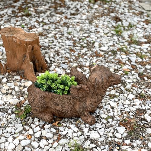 Animal Planter, 18 Inch Flying Dachshund with Distressed Brown Finish | Magnesium Oxide, Drain Hole, 9 by 2.5 Inch Planting Opening, Indoor or Outdoor Use - color: Winged Dachshund - Brown