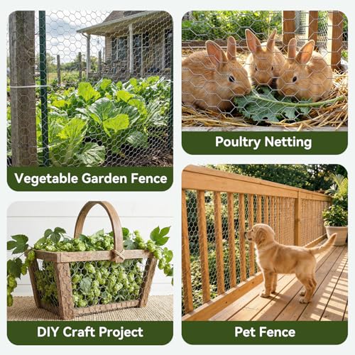 Amagabeli Chicken Wire Fencing 13.7 in x 236 in(20ft) Garden Netting Poultry Wire Hexagonal Galvanized Mesh Roll Fence Barrier for Raised Bed Cattle Panels for Plant Trellis Vegetable Bird Pet Craft - size: 1" 13.7"x20' + 100 Ties