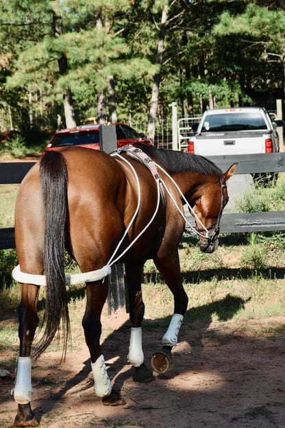 Leaders Training or Lungeing Aid for Horse - color: Black