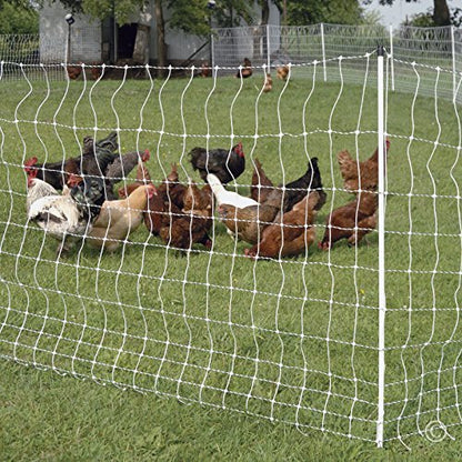 Premier 1 PoultryNet® Electric Fence for Chickens – 42"H x 164'L