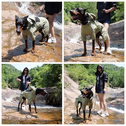 LOVELONGLONG Fleece-Lined Dog Raincoat with Removable Hood – Waterproof Winter Full Body Dog Jacket – Windproof Snowproof Cold-Weather Suit – Green-F S+ - color: Sage Green Fleeced, size: S+ (Back 13")