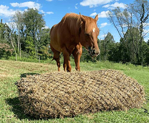Derby Originals 90" XX-Large Slow Feed Hay Bale Net Holds 1-2 Full Bales of Hay for Horses and Goats - color: Black