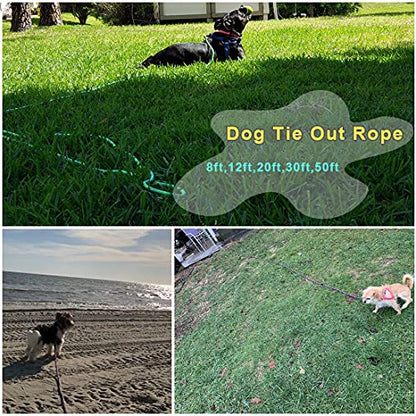 30FT Dog Tie-Out Rope + Bungee Dog Leash Extension