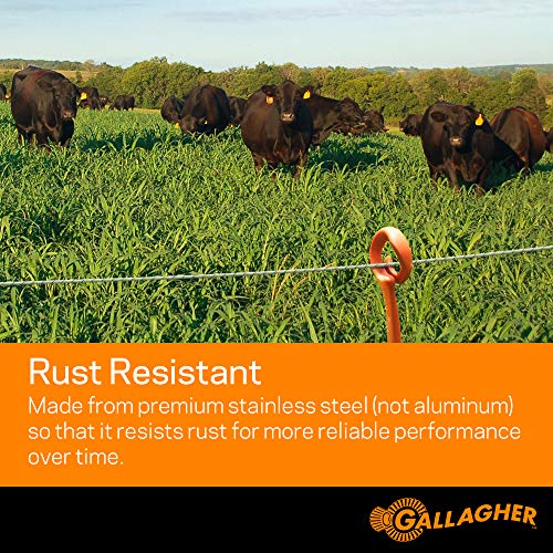 Gallagher Electric Fence Wire — 1,640ft (500m) Polywire for Livestock, Horses & Cattle | 6 Stainless Steel Strands | Poly Wire UV & Rust Resistant | 1/16" Diameter