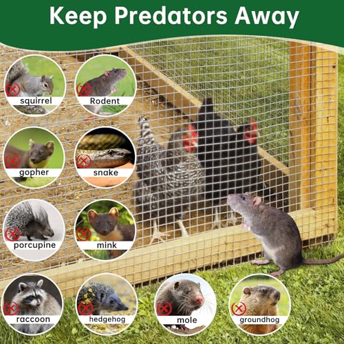AMAGABELI GARDEN & HOME Hardware Cloth 1/2 Inch 48 x 100 ft 19 Gauge Chicken Wire Fence Weld Wire Fence Mesh Roll Garden Fencing Border Plant Support Poultry Netting Snake Fence Gopher Wire