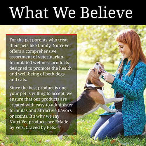 Nutri Vet Bitter Bandage, Self Adhesing Flexible Bandage, 2" (Package Varies) - size: 2"