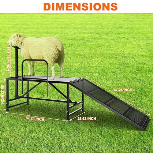 Heavy Duty Sheep Trimming Stand with Ramp - Adjustable Livestock Grooming & Milking Stand for Goat, Sheep Shearing and Milking Frame