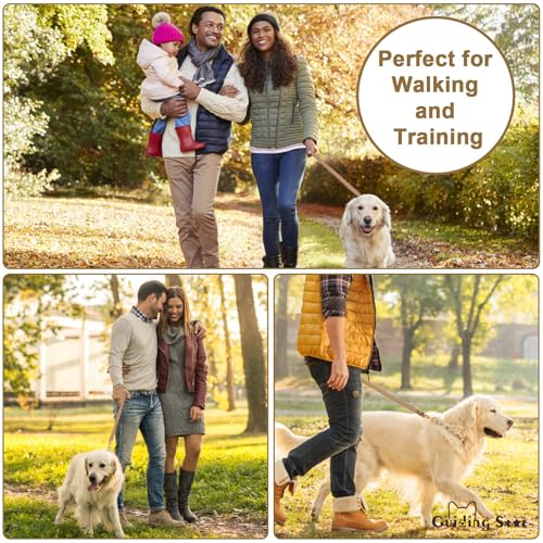 Guiding Star Leather Dog Leash - 6ft Heavy Duty, Soft Braided Handmade Leather Training Leash for Large & Medium Dogs (6ftx1inch, Light Brown) - color: Light Brown, size: 6ft x 1 inch