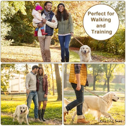 Guiding Star Leather Dog Leash - 6ft Heavy Duty, Soft Braided Handmade Leather Training Leash for Large & Medium Dogs (6ftx1inch, Light Brown) - color: Light Brown, size: 6ft x 1 inch
