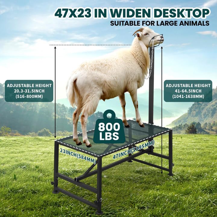 Goat Milking Stand for Hoof Trimming - Durable 47 x 23 Inch Metal Livestock Stanchion, Comfortable Head Lock and Nose Cup, Height Adjustable 21" to 33" for Homesteads, Small Farms, Sheep, Calves