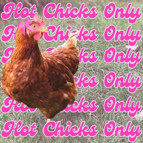 Poultry Pro Hot Chick Feeder Kit, Weatherproof, 3 Ports & Hole Saw - style: Hot Chick Feeder Kit