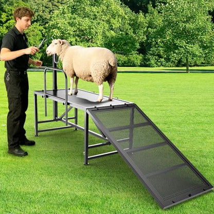 Heavy Duty Sheep Trimming Stand with Ramp - Adjustable Livestock Grooming & Milking Stand for Goat, Sheep Shearing and Milking Frame