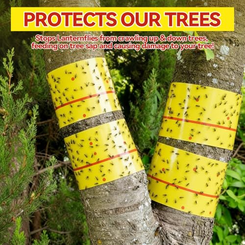 15 Rolls Sticky Fly Trap 30 ft Each, Fluorescent Yellow - color: Fluorescent Yellow