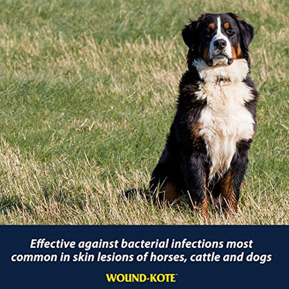 Farnam Wound-Kote Blue Lotion Spray Horse Wound Care for use on Horses and Dogs, Antiseptic Properties, for Minor Wounds, Cuts and Sores, 5 Oz - size: 5 ounces