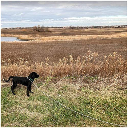 BTINESFUL Dog Tie Out Long Tether Rope Dog Lead for Yard 8/12/20/30/50/75ft - color: Beige Black, size: 30 Foot