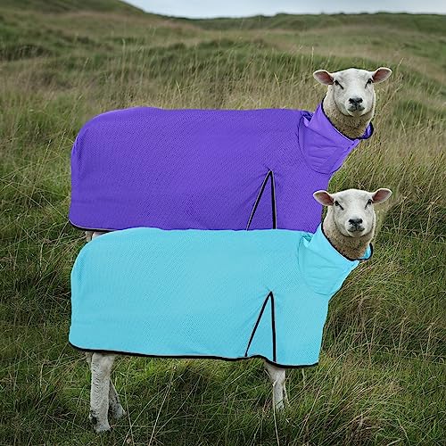 Silkfly 2 Pcs Sheep Blanket Mesh Medium Goat Adjustable Strap, Blue, Purple - color: Blue, Purple