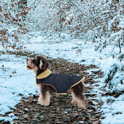 Queenmore Warm Puffer Dog Coat Thick Plush Quilting Small Winter Jacket - color: Green, size: Small