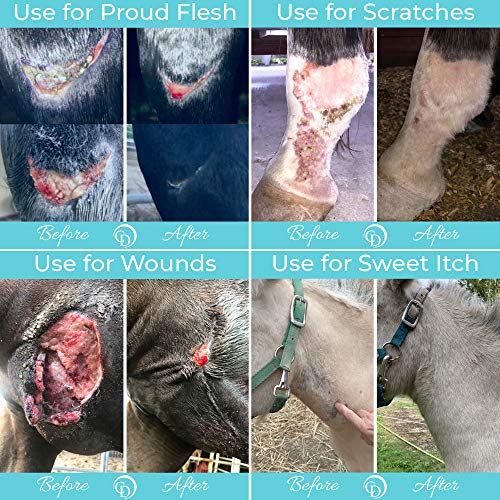 COAT DEFENSE Trouble Spot Drying Paste for Horses - Natural Equine Wound Care That Provides Safe & Effective Relief from Scratches, Sweet Itch, Summer Sores, Proud Flesh, Mud Fever, Girth Rot (24 Oz) - size: 1.5 Pound (Pack of 1)