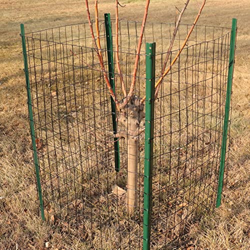 Black PVC Coated Welded Wire Fence 48" x 50' Roll, 2"x3" Mesh, 16 Gauge - color: Black, size: 2''x3'' 16GA 48''x50'