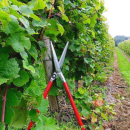 Berger vine leave shear 4440 with self-sharpening blades, hedge shear with damper, length 80 cm - size: 80x12x10 cm