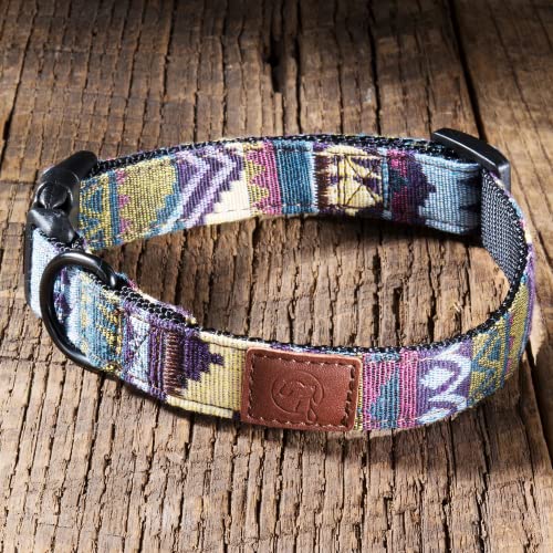 Embark Dog Collar - Adjustable Heavy Duty Outdoor Pet Training Collar - color: Azure, size: Medium