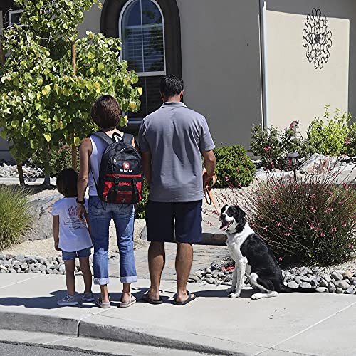 Pet Emergency Survival Kit for Big Dogs