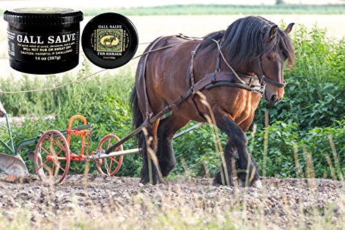 Bickmore Gall Salve Wound Cream for Horses 14 oz - size: 14 oz