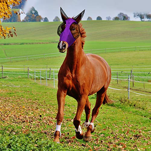Sadnyy 6 Pcs Horse Fly Masks with Ears Comfort Breathable Mesh Fly Masks Net UV Protection Large Eye Space Full Face Covering Elasticity Soft for Horses(Medium) - size: Medium