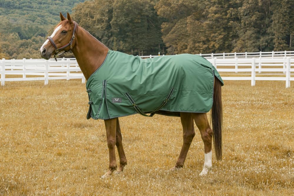 TuffRider 600 D Comfy Winter Turnout Blanket Medium Weight 200 GSM Standard Neck - color: Hunter, size: 69
