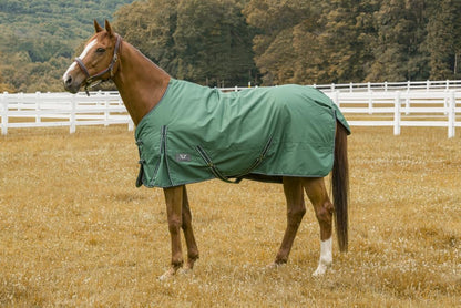 TuffRider 600 D Comfy Winter Turnout Blanket Medium Weight 200 GSM Standard Neck - color: Hunter, size: 78