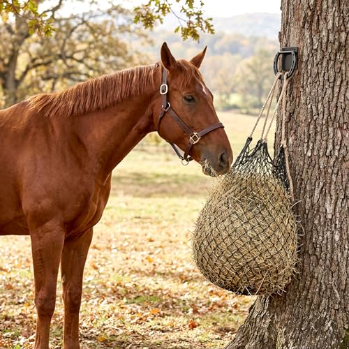 Cididu 4 Pack Cross Tie Ring for Horse, Heavy Duty Horseshoe Tie Ring with Screws, Solid Steel Tie Down Hooks, Hitching Ring Horse Barn Supplies for Stall Stable Racetrack Horse Training Equipment