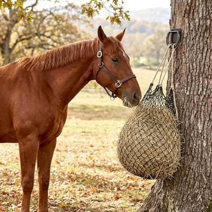 Cididu 4 Pack Cross Tie Ring for Horse, Heavy Duty Horseshoe Tie Ring with Screws, Solid Steel Tie Down Hooks, Hitching Ring Horse Barn Supplies for Stall Stable Racetrack Horse Training Equipment