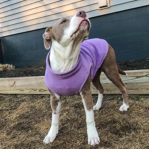 Gooby Stretch Fleece Vest Dog Sweater, Lavender, X-Small - color: Lavender, size: X-Small Length (7")