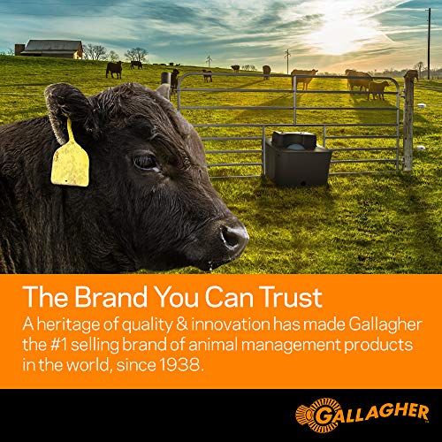 Gallagher S12 Solar Energizer and 1312' Poly Wire Electric Fence Kit for Livestock, Gardens, Orchards, Pets, and More