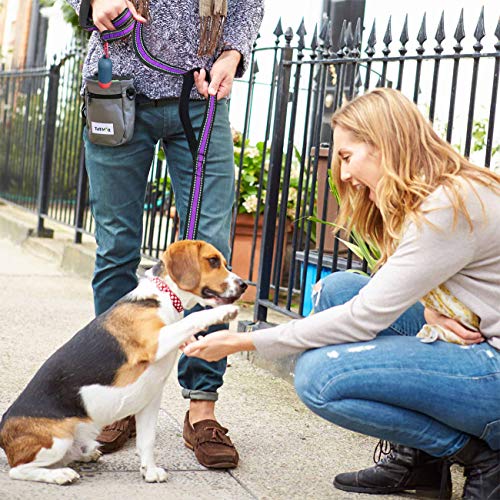 JSXD Heavy Duty Double Handle Dog Leash - 5 FT with Comfortable Padded and Reflective Rope, for Small to Large Dogs (Wide-Purple) - color: Wide-Purple