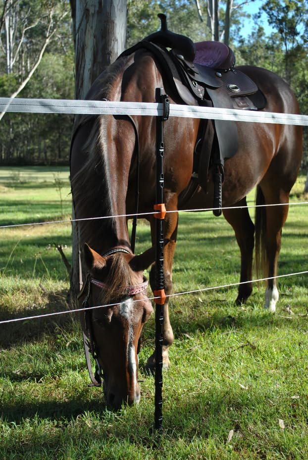 Gallagher 37" Insulated Line Posts for Permanent or Temporary Electric Fencing | Composite Electric Fence Posts with Fiberglass Core - style: 37" Insulated Line Posts