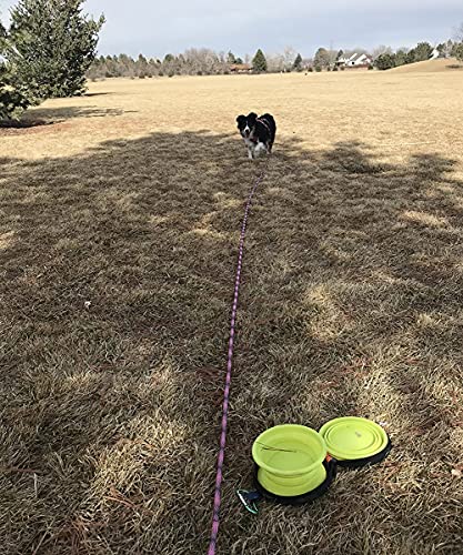 20FT Dog Tie-Out Rope + Bungee Dog Leash Extension