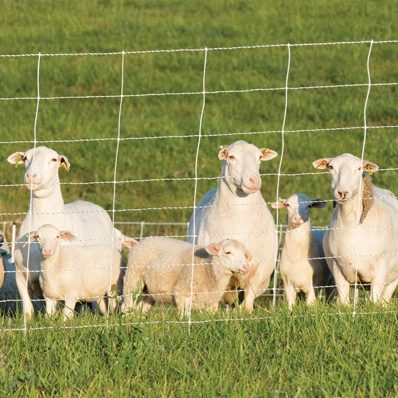Premier 1 ElectroStop® Electric Fence for Sheep & Goats – 42"H x 100'L