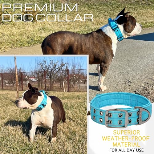 ADITYNA Heavy Duty Dog Collar for Medium Dogs with Traffic Handle - color: Blue, size: Medium: Fit 15-19" Neck