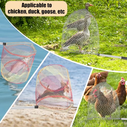 Chicken Catching Net 2 Pcs, Bird Catching Net, 32" to80 Animal Catching Net | Chicken Net Stainless Steel Poultry Catcher for Catching Small Chicken, Goose, Ducks, Fish, Birds(2 Nets, 1 Pole Included)