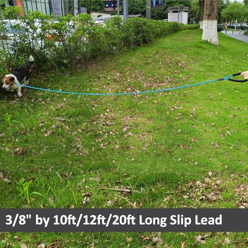 20FT Long Slip Lead Dog Training Leash 3/8" Thick Nylon Rope Leash | Reflective Anti-Choking Slip Leash with Comfortable Handle, Quick Control Medium Large Dogs No Pull (20ftx3/8", Blue) - color: Blue, size: 3/8in x 20ft