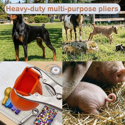 Goat Banding Kit, Livestock Castration Bander with Stainless Steel Expander Pliers, 60Pcs 2 Sizes Castrator Rings and Ring Installation Tool for Goats, Lambs, Calves, Sheep, Piglets - style: Pliers，30-S, 30-M