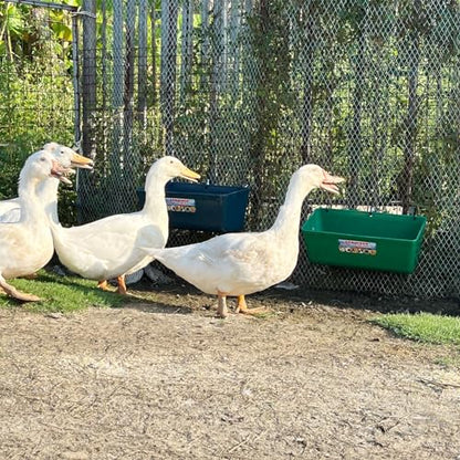 Large Feed Trough and Goat Feeder - 2 Pack Hanging Feeder with Clips, Waterer Bucket, Fence Feed Trough, Goat Supplies, 10 Quart - color: Greener