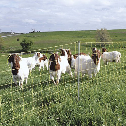 Premier 1 Yellow Pos/Neg Goat & Sheep Net Fence – 42"H x 100'L