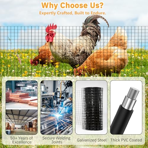 PVC Coated Welded Wire Fencing,2"x2" 14GA Coated (16GA Bare),72inch H x 100ft L Garden Wire Fence Roll,2/3/4/5/6ft Tall x 100 ft Long Vinyl Coating Metal Wire Mesh for Yard,Farm,Dog,Vegetable - color: Black, size: 14GA 2x2 72"x100'