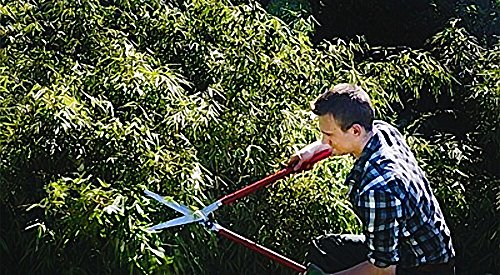 Berger vine leave shear 4440 with self-sharpening blades, hedge shear with damper, length 80 cm - size: 80x12x10 cm