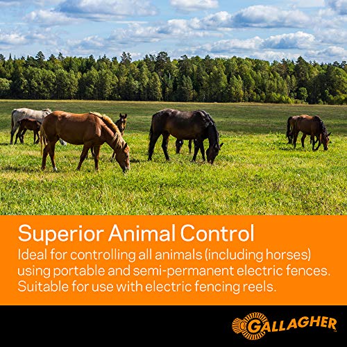 Gallagher S20 Solar Electric Fence Charger with Polywire and Polytape | Complete Electric Fence Kit with High-Visibility Top Strand for Livestock, Gardens, and Predator Control